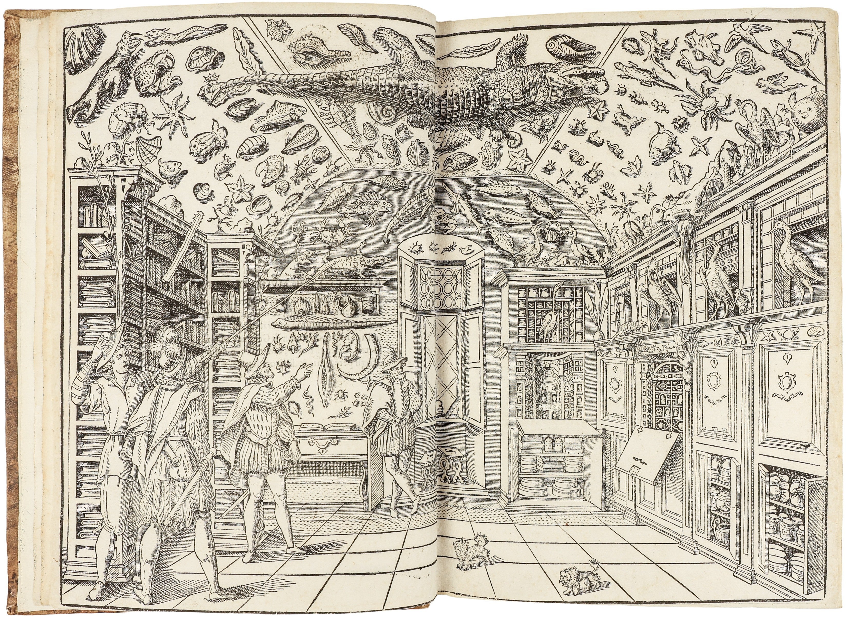 The Paper Museum