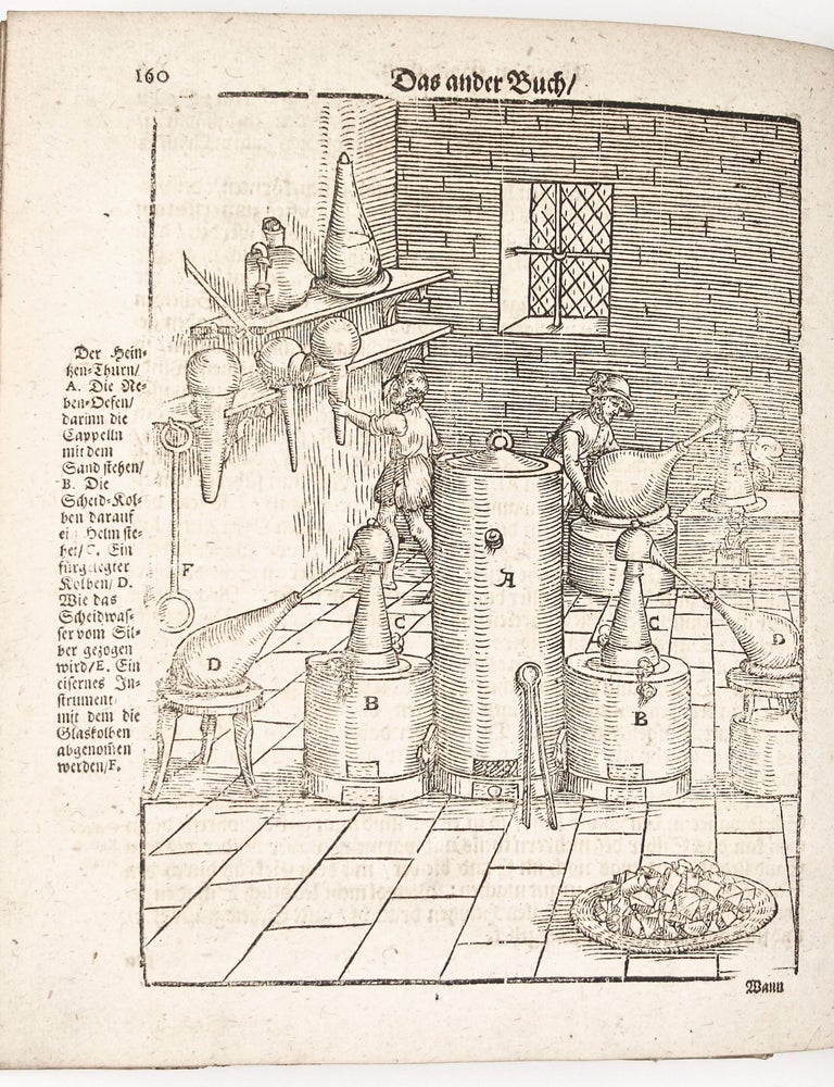 Aula Subterranea domina dominantium subdita subditorum, das ist, Untererdische Hofhaltung: ohne welche weder die Herren regiren, noch die Unterthanen gehorchen können : oder, Grundliche Beschreibung derjenigen Sachen so in der Tieffe der Erden wachsen, als aller Ertzen der königlichen und gemeinen Metallen…
