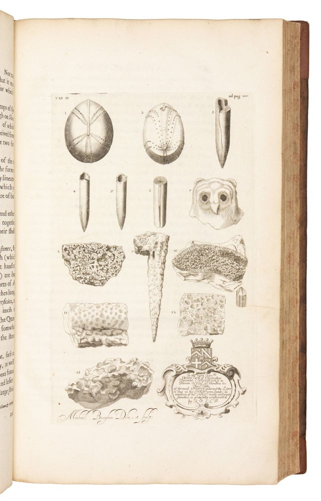 The Natural History of Oxford-shire, Being an Essay toward the Natural History of England. By Robert Plot, LL.D.