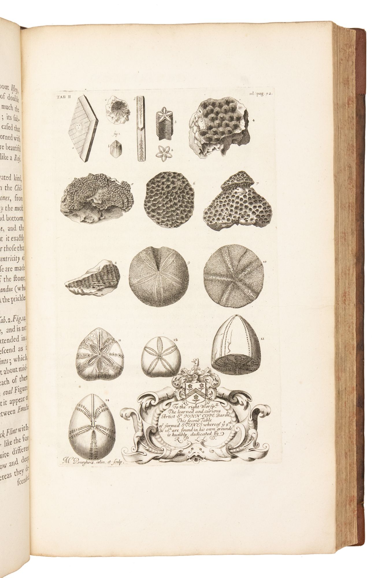 Robbert Plot The Natural History of Oxford-shire, Being an Essay toward the Natural ...