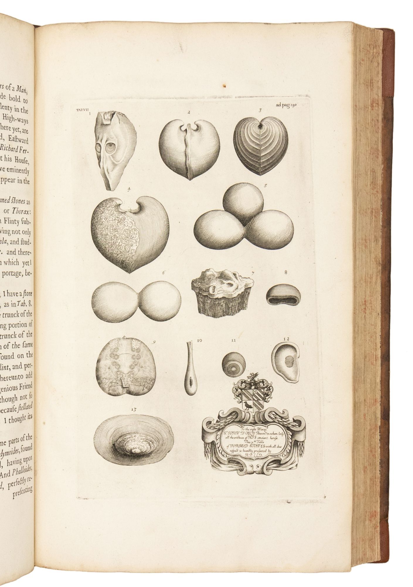 Robbert Plot The Natural History of Oxford-shire, Being an Essay toward the Natural ...