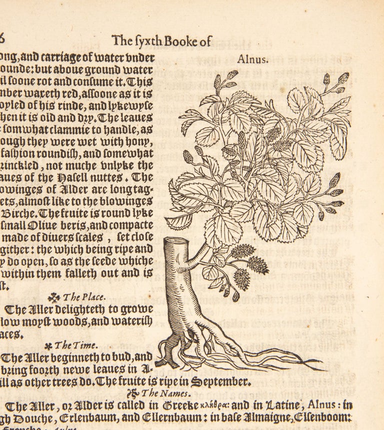 A Nievve Herball, or, Historie of Plantes : wherein is contayned the vvhole discourse and perfect description of all sortes of herbes and plantes, their diuers and sundry kindes, their straunge figures, fashions, and shapes: their names, natures, operations, and vertues, and that not onely of those which are here growyng in this our countrie of Englande, but of all others also of forrayne realmes, commonly used in physicke / first set foorth in the Doutche or Almaigne tongue, by that learned D. Rembert Dodoens, Physitian to the Emperour: And nowe first translated out of French into English, by Henry Lyte esquyer.