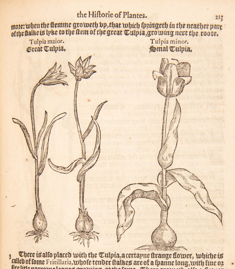 A Nievve Herball, or, Historie of Plantes : wherein is contayned the vvhole discourse and perfect description of all sortes of herbes and plantes, their diuers and sundry kindes, their straunge figures, fashions, and shapes: their names, natures, operations, and vertues, and that not onely of those which are here growyng in this our countrie of Englande, but of all others also of forrayne realmes, commonly used in physicke / first set foorth in the Doutche or Almaigne tongue, by that learned D. Rembert Dodoens, Physitian to the Emperour: And nowe first translated out of French into English, by Henry Lyte esquyer.