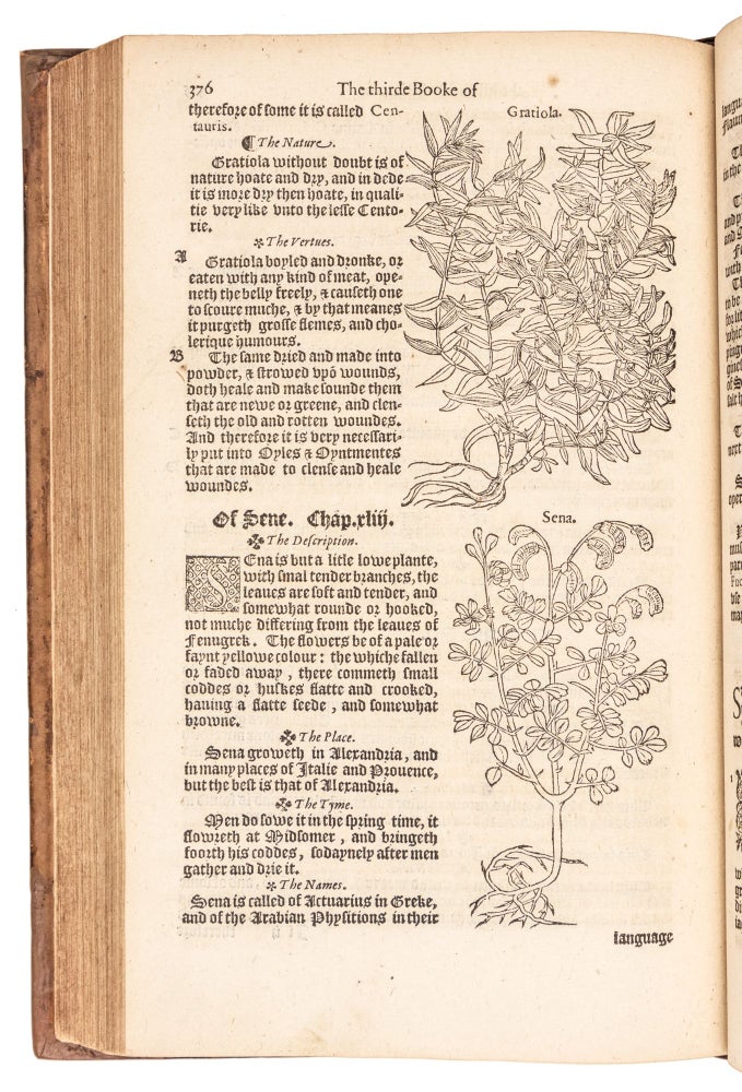 Item #4713 A Nievve Herball, or, Historie of Plantes : wherein is contayned the vvhole discourse and perfect description of all sortes of herbes and plantes, their diuers and sundry kindes, their straunge figures, fashions, and shapes: their names, natures, operations, and vertues, and that not onely of those which are here growyng in this our countrie of Englande, but of all others also of forrayne realmes, commonly used in physicke / first set foorth in the Doutche or Almaigne tongue, by that learned D. Rembert Dodoens, Physitian to the Emperour: And nowe first translated out of French into English, by Henry Lyte esquyer. Rembert Dodoens, Henry Lyte.