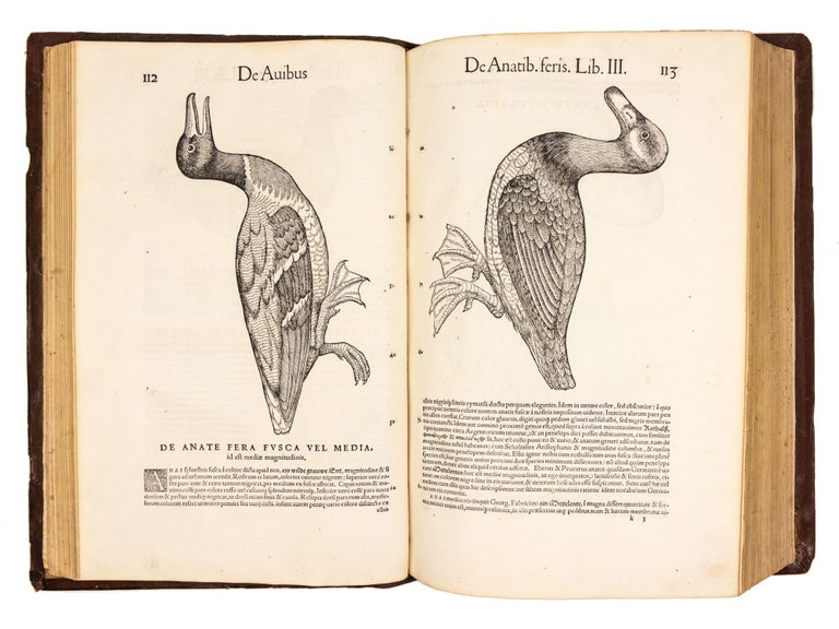 Item #4717 Historiae animalium Liber III qui est de avium natura. Conrad Gessner, also Gesner.