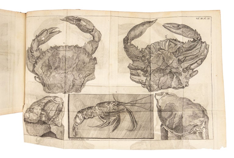 Catalogue systématique et raisonné des curiosités de la nature et de l’art, qui composent le cabinet de M. Davila, avec figures en taille-douce.