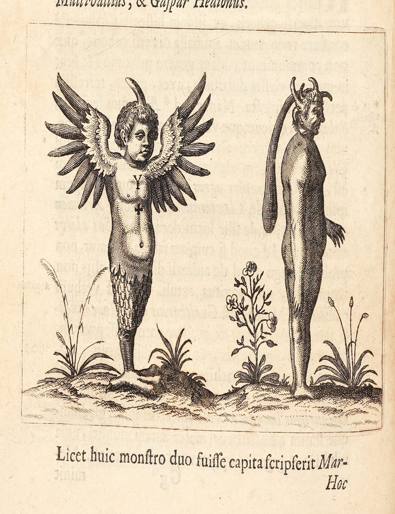 Fortunius Licetus De Monstris. Ex recensione Gerardi Blasii, M. D. & P. P. Qui Monstra quaedam nova & rariora ex recentiorum scriptis addidit. Editio Novissima. Iconibus illustrata.