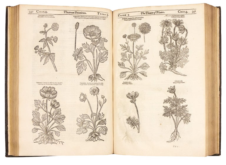 Item #5018 Theatrum Botanicum: The theater of plants.: Or, An herball of a large extent:...