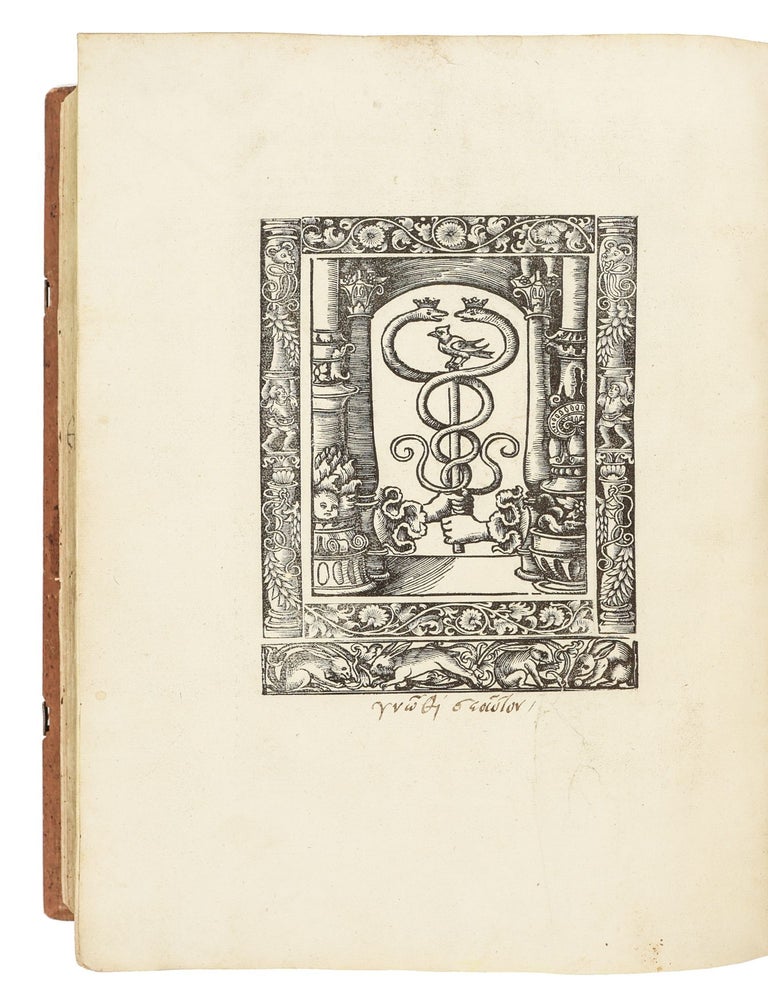 Epistolae ad diversos, & aliquot aliorum ad illu(m) per amicos eruditos, ex ingentibus fasciculis schedarum collectae.
