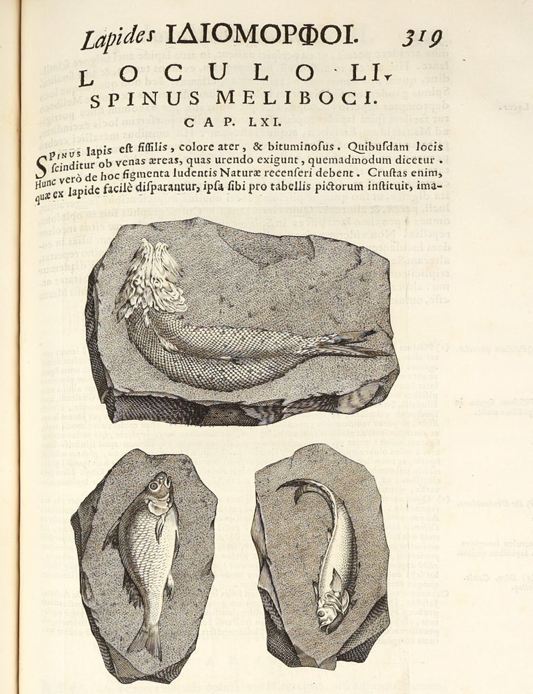 Metallotheca: opus posthumum, auctoritate & munificentia Clementis undecimi pontificis maximi e tenebris in lucem eductum : opera autem & studio Joannis Mari&aelig; Lancisii archiatri pontificii illustratum.