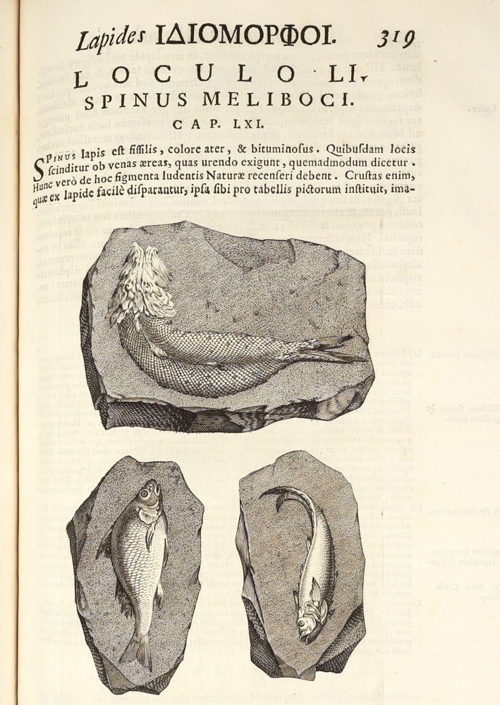 Metallotheca: opus posthumum, auctoritate & munificentia Clementis undecimi pontificis maximi e tenebris in lucem eductum : opera autem & studio Joannis Mariæ Lancisii archiatri pontificii illustratum.