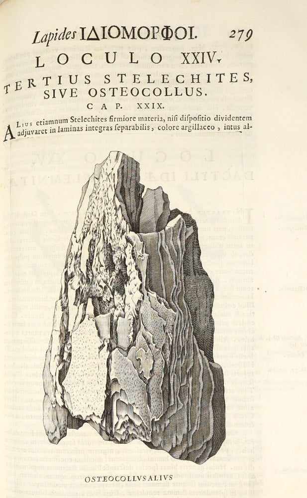 Metallotheca: opus posthumum, auctoritate & munificentia Clementis undecimi pontificis maximi e tenebris in lucem eductum : opera autem & studio Joannis Mariæ Lancisii archiatri pontificii illustratum.