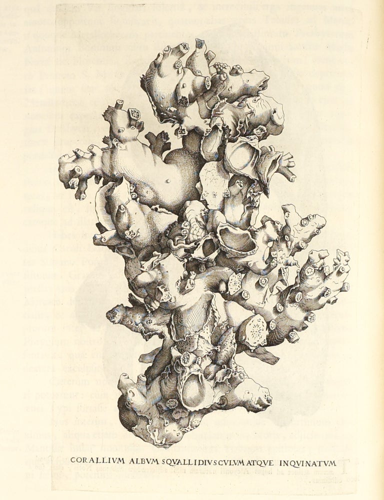 Metallotheca: opus posthumum, auctoritate & munificentia Clementis undecimi pontificis maximi e tenebris in lucem eductum : opera autem & studio Joannis Mari&aelig; Lancisii archiatri pontificii illustratum.