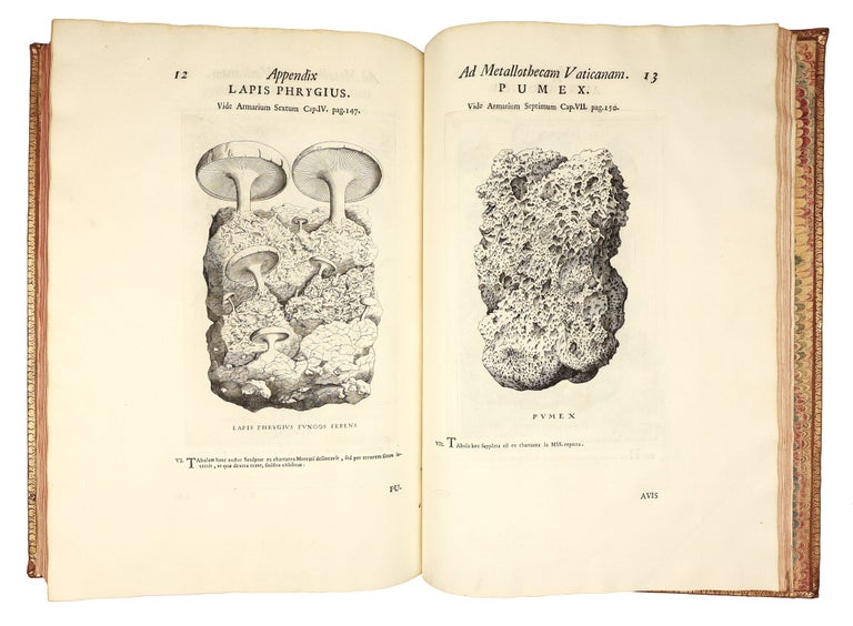 Metallotheca: opus posthumum, auctoritate & munificentia Clementis undecimi pontificis maximi e tenebris in lucem eductum : opera autem & studio Joannis Mariæ Lancisii archiatri pontificii illustratum.
