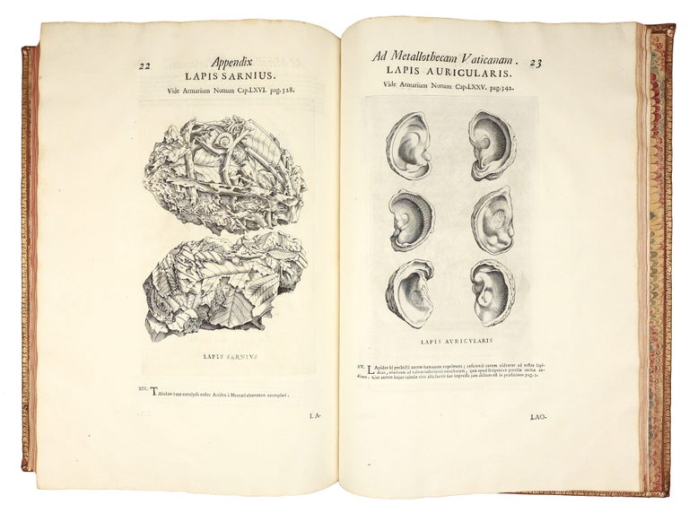 Metallotheca: opus posthumum, auctoritate & munificentia Clementis undecimi pontificis maximi e tenebris in lucem eductum : opera autem & studio Joannis Mariæ Lancisii archiatri pontificii illustratum.