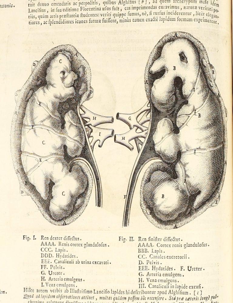Metallotheca: opus posthumum, auctoritate & munificentia Clementis undecimi pontificis maximi e tenebris in lucem eductum : opera autem & studio Joannis Mari&aelig; Lancisii archiatri pontificii illustratum.