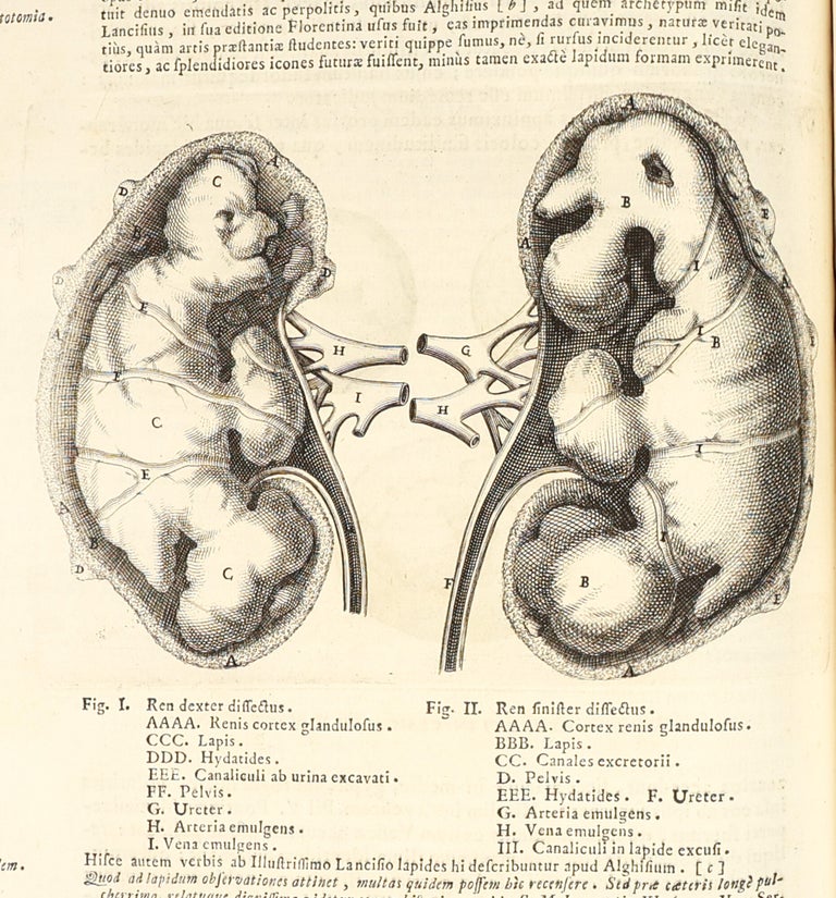 Metallotheca: opus posthumum, auctoritate & munificentia Clementis undecimi pontificis maximi e tenebris in lucem eductum : opera autem & studio Joannis Mariæ Lancisii archiatri pontificii illustratum.