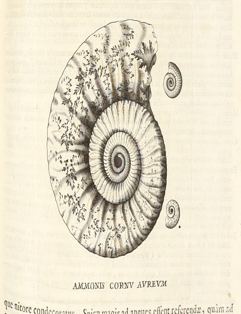 Metallotheca: opus posthumum, auctoritate & munificentia Clementis undecimi pontificis maximi e tenebris in lucem eductum : opera autem & studio Joannis Mari&aelig; Lancisii archiatri pontificii illustratum.