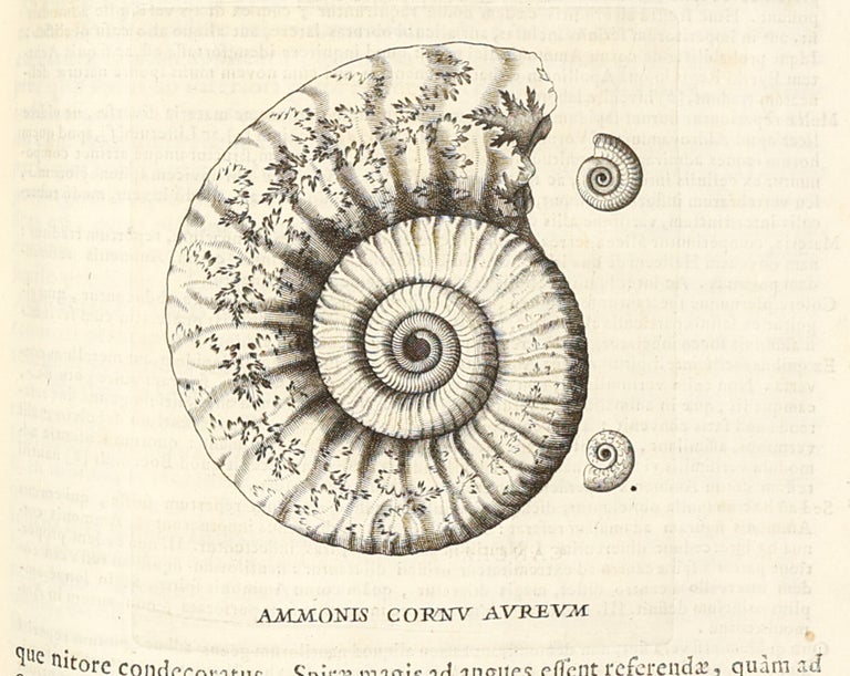 Metallotheca: opus posthumum, auctoritate & munificentia Clementis undecimi pontificis maximi e tenebris in lucem eductum : opera autem & studio Joannis Mariæ Lancisii archiatri pontificii illustratum.