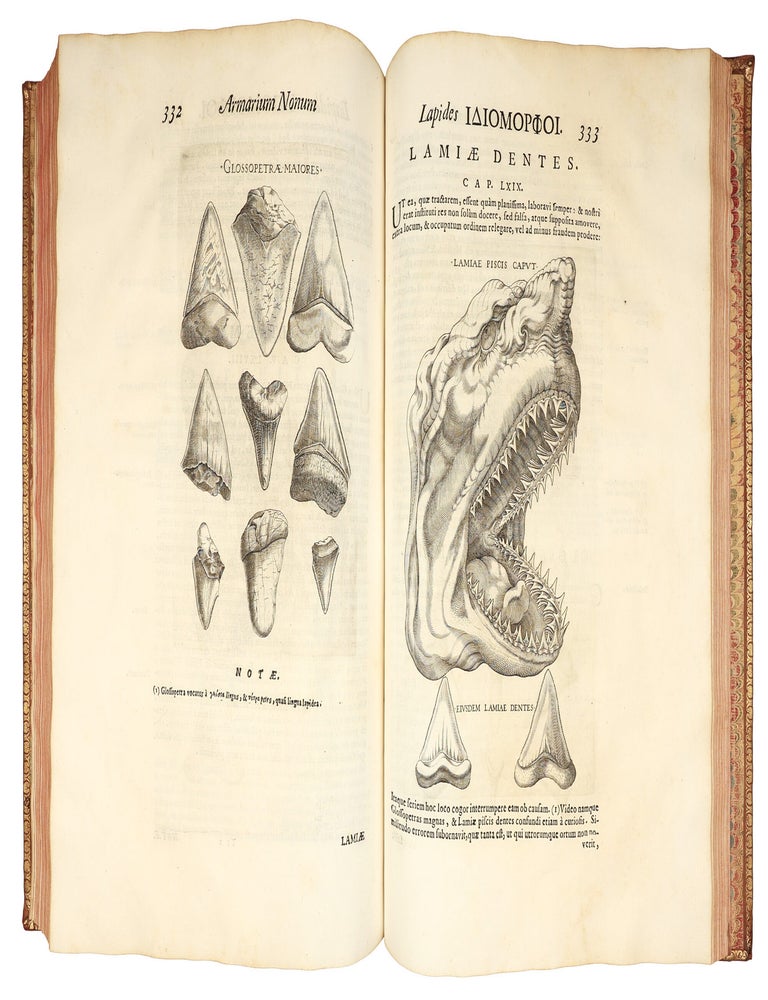 Metallotheca: opus posthumum, auctoritate & munificentia Clementis undecimi pontificis maximi e tenebris in lucem eductum : opera autem & studio Joannis Mari&aelig; Lancisii archiatri pontificii illustratum.