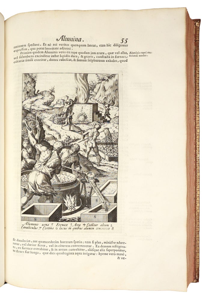Metallotheca: opus posthumum, auctoritate & munificentia Clementis undecimi pontificis maximi e tenebris in lucem eductum : opera autem & studio Joannis Mariæ Lancisii archiatri pontificii illustratum.