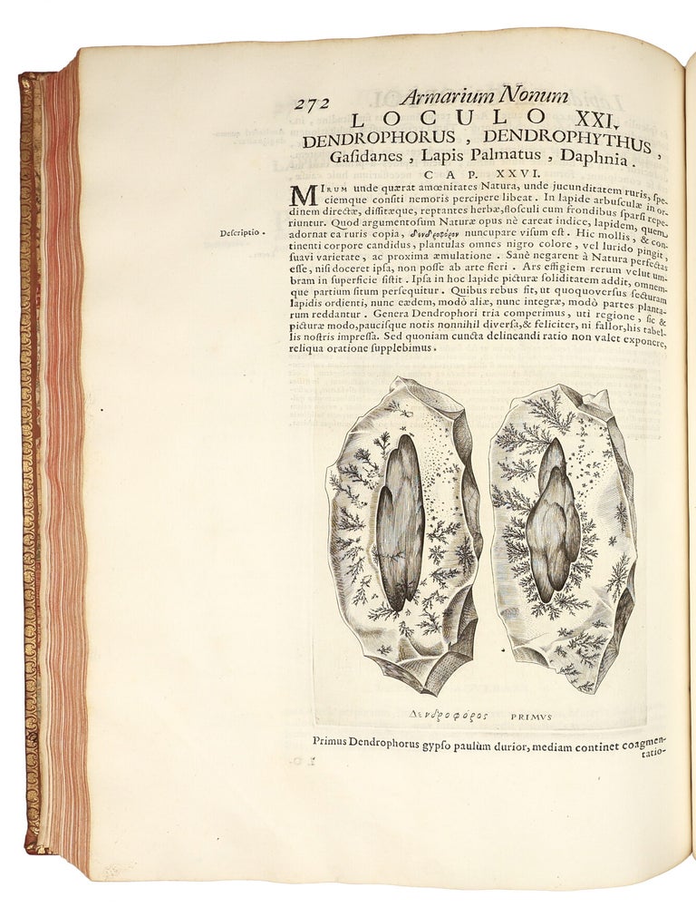 Metallotheca: opus posthumum, auctoritate & munificentia Clementis undecimi pontificis maximi e tenebris in lucem eductum : opera autem & studio Joannis Mari&aelig; Lancisii archiatri pontificii illustratum.