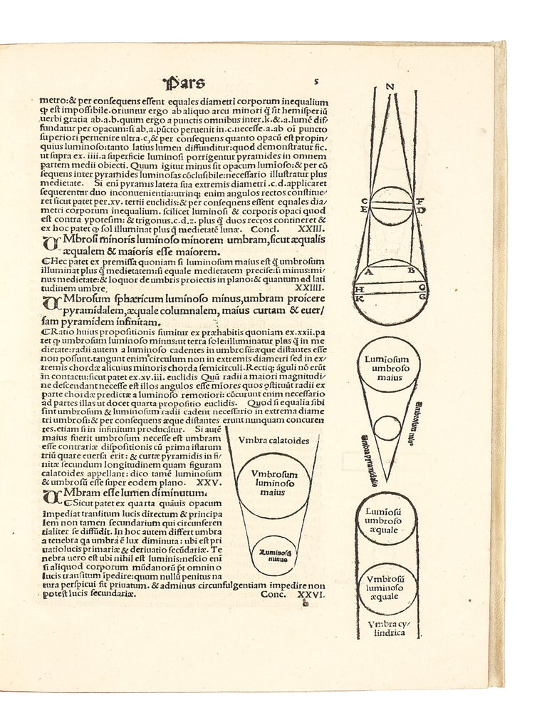 Perspectiva communis