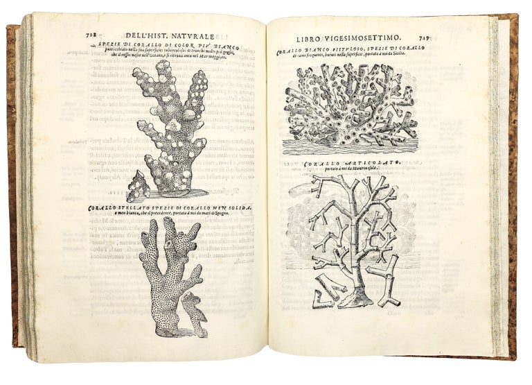 Dell'Historia Natvrale di Ferrante Imperato Napoletano Libri XXVIII: nella qvale ordinatamente si tratta della diuersa condition di miniere e pietre: con alcune historie di piante & animali, sin'hora non date in luce.