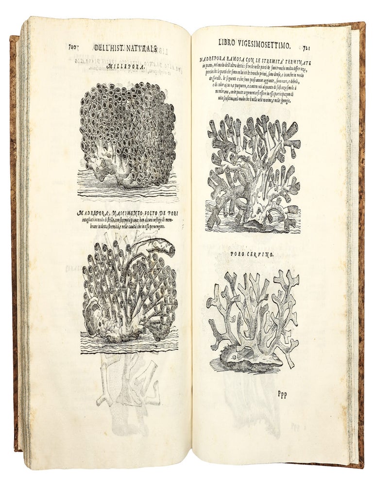 Dell'Historia Natvrale di Ferrante Imperato Napoletano Libri XXVIII: nella qvale ordinatamente si tratta della diuersa condition di miniere e pietre: con alcune historie di piante & animali, sin'hora non date in luce.