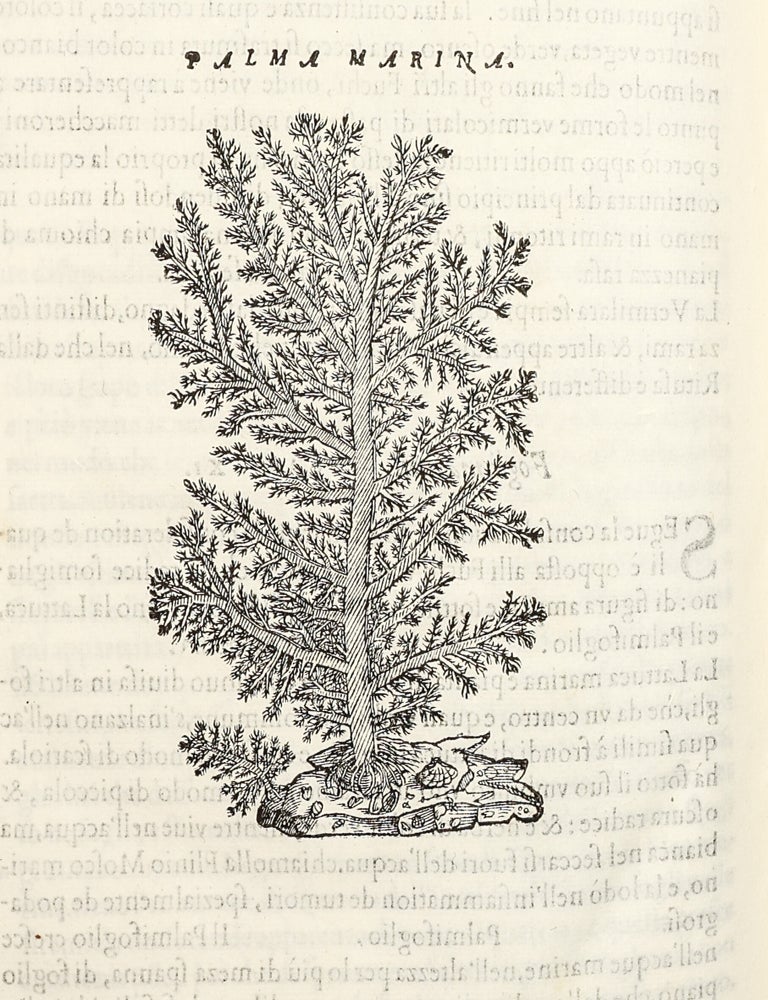 Dell'Historia Natvrale di Ferrante Imperato Napoletano Libri XXVIII: nella qvale ordinatamente si tratta della diuersa condition di miniere e pietre: con alcune historie di piante & animali, sin'hora non date in luce.
