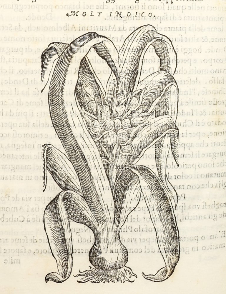 Dell'Historia Natvrale di Ferrante Imperato Napoletano Libri XXVIII: nella qvale ordinatamente si tratta della diuersa condition di miniere e pietre: con alcune historie di piante & animali, sin'hora non date in luce.