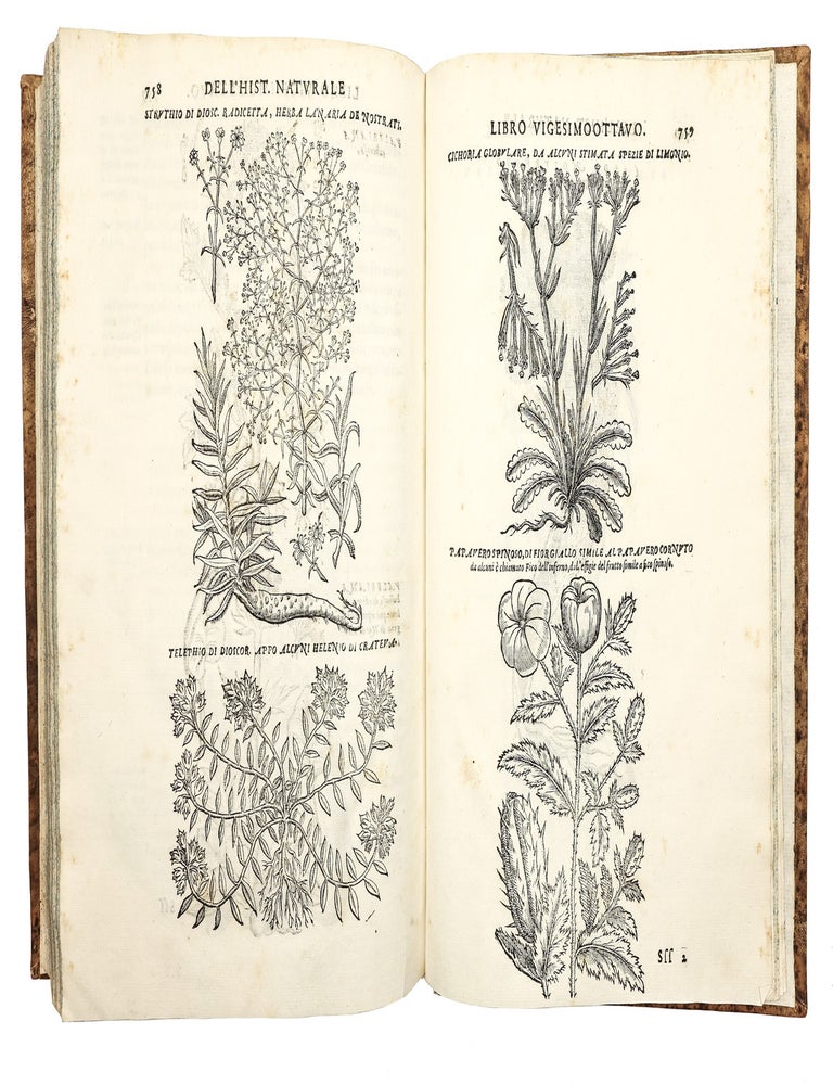 Dell'Historia Natvrale di Ferrante Imperato Napoletano Libri XXVIII: nella qvale ordinatamente si tratta della diuersa condition di miniere e pietre: con alcune historie di piante & animali, sin'hora non date in luce.