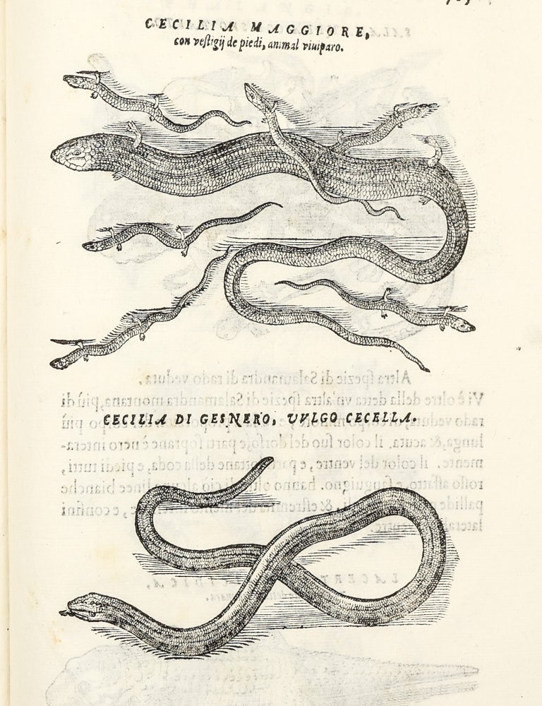 Dell'Historia Natvrale di Ferrante Imperato Napoletano Libri XXVIII: nella qvale ordinatamente si tratta della diuersa condition di miniere e pietre: con alcune historie di piante & animali, sin'hora non date in luce.