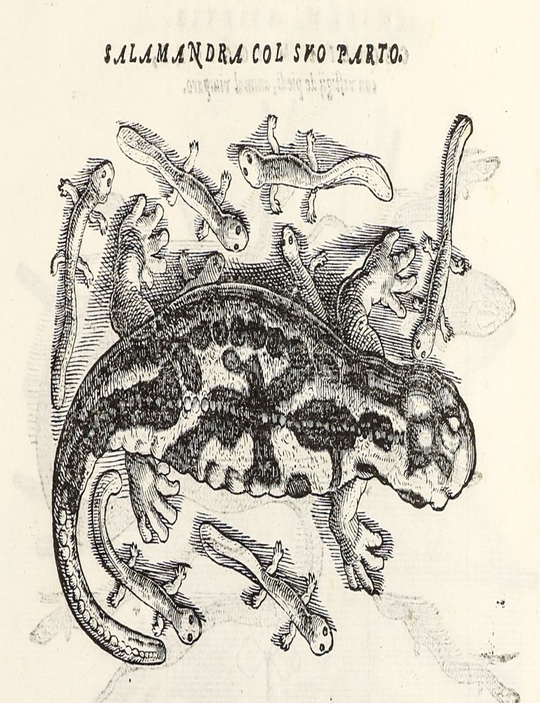 Dell'Historia Natvrale di Ferrante Imperato Napoletano Libri XXVIII: nella qvale ordinatamente si tratta della diuersa condition di miniere e pietre: con alcune historie di piante & animali, sin'hora non date in luce.