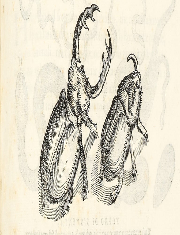 Dell'Historia Natvrale di Ferrante Imperato Napoletano Libri XXVIII: nella qvale ordinatamente si tratta della diuersa condition di miniere e pietre: con alcune historie di piante & animali, sin'hora non date in luce.