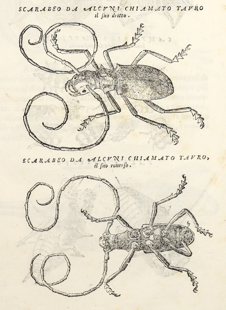 Dell'Historia Natvrale di Ferrante Imperato Napoletano Libri XXVIII: nella qvale ordinatamente si tratta della diuersa condition di miniere e pietre: con alcune historie di piante & animali, sin'hora non date in luce.