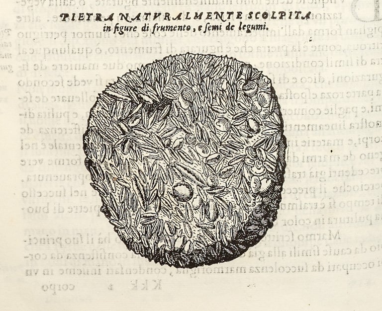 Dell'Historia Natvrale di Ferrante Imperato Napoletano Libri XXVIII: nella qvale ordinatamente si tratta della diuersa condition di miniere e pietre: con alcune historie di piante & animali, sin'hora non date in luce.