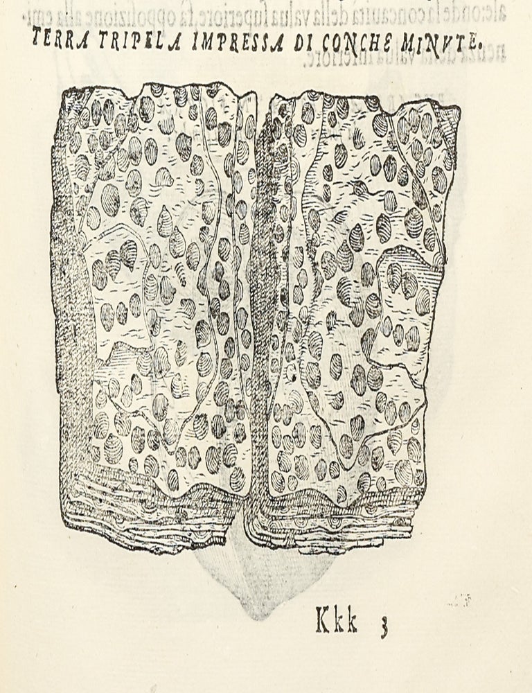 Dell'Historia Natvrale di Ferrante Imperato Napoletano Libri XXVIII: nella qvale ordinatamente si tratta della diuersa condition di miniere e pietre: con alcune historie di piante & animali, sin'hora non date in luce.