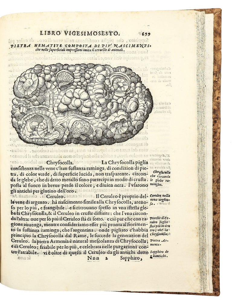 Dell'Historia Natvrale di Ferrante Imperato Napoletano Libri XXVIII: nella qvale ordinatamente si tratta della diuersa condition di miniere e pietre: con alcune historie di piante & animali, sin'hora non date in luce.