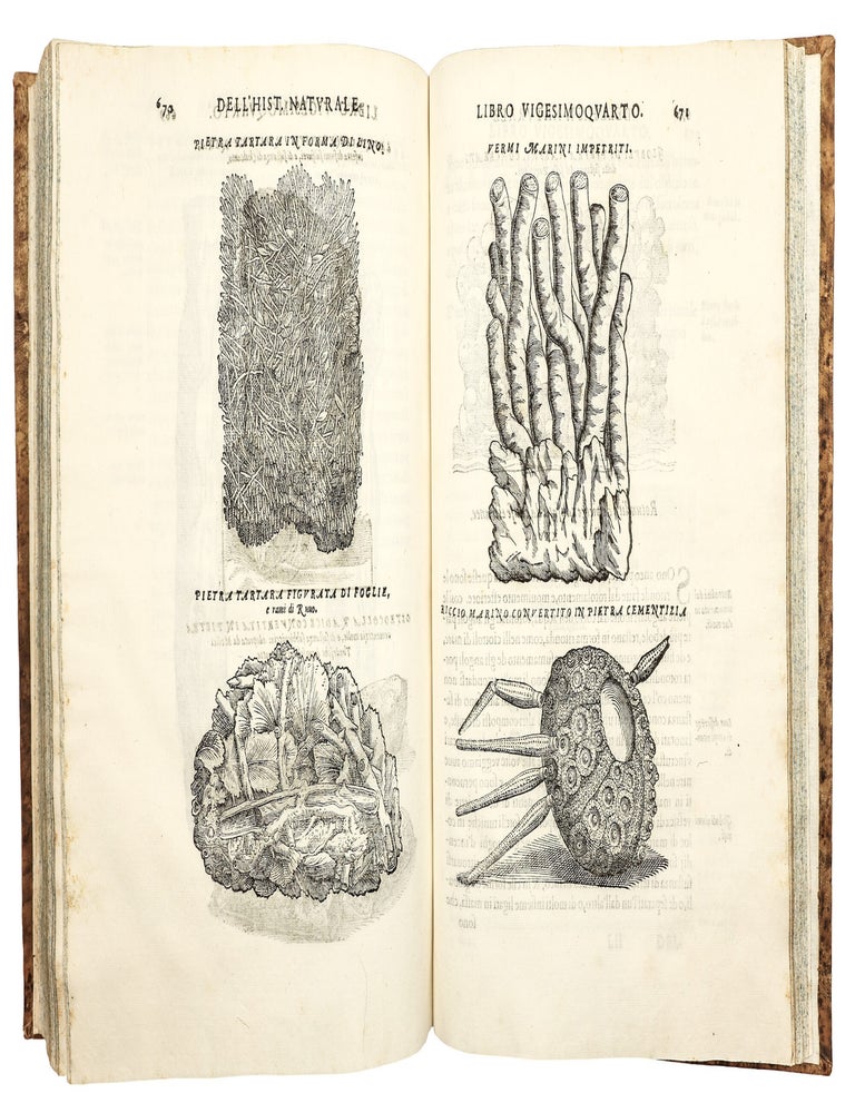 Dell'Historia Natvrale di Ferrante Imperato Napoletano Libri XXVIII: nella qvale ordinatamente si tratta della diuersa condition di miniere e pietre: con alcune historie di piante & animali, sin'hora non date in luce.