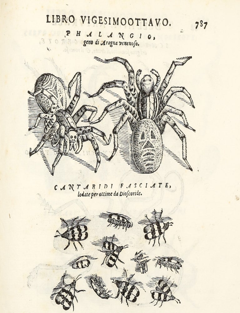 Dell'Historia Natvrale di Ferrante Imperato Napoletano Libri XXVIII: nella qvale ordinatamente si tratta della diuersa condition di miniere e pietre: con alcune historie di piante & animali, sin'hora non date in luce.