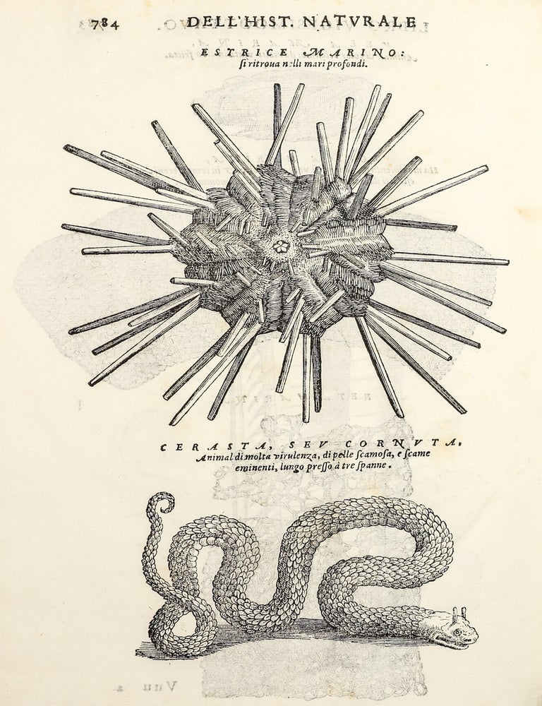Dell'Historia Natvrale di Ferrante Imperato Napoletano Libri XXVIII: nella qvale ordinatamente si tratta della diuersa condition di miniere e pietre: con alcune historie di piante & animali, sin'hora non date in luce.
