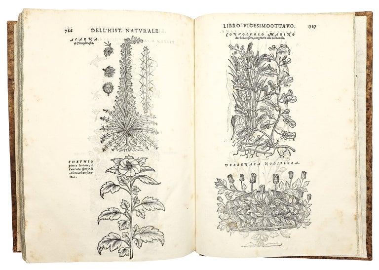 Dell'Historia Natvrale di Ferrante Imperato Napoletano Libri XXVIII: nella qvale ordinatamente si tratta della diuersa condition di miniere e pietre: con alcune historie di piante & animali, sin'hora non date in luce.