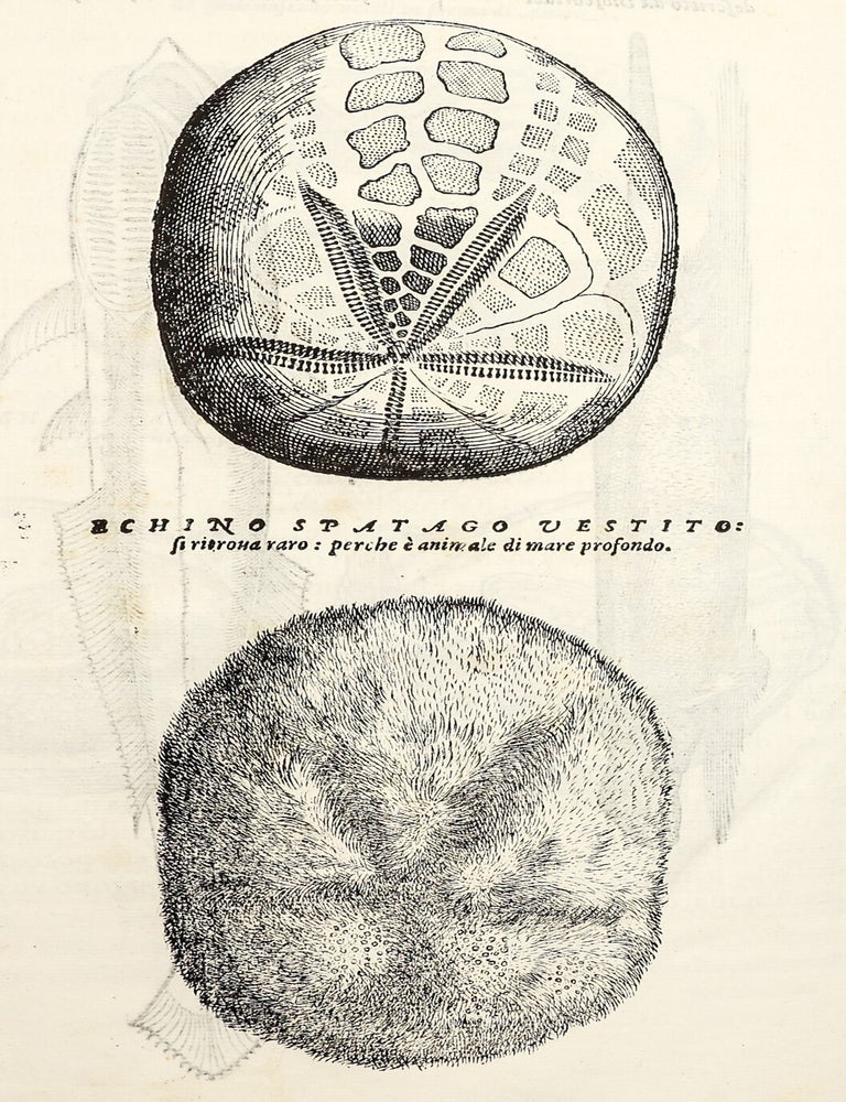 Dell'Historia Natvrale di Ferrante Imperato Napoletano Libri XXVIII: nella qvale ordinatamente si tratta della diuersa condition di miniere e pietre: con alcune historie di piante & animali, sin'hora non date in luce.