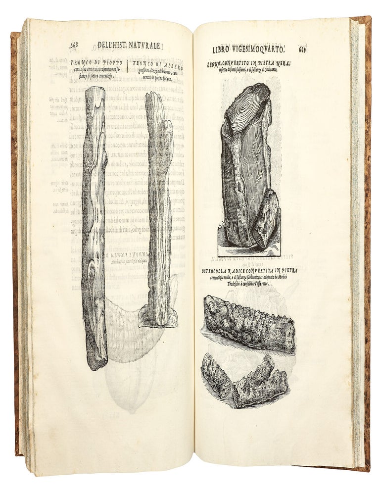 Dell'Historia Natvrale di Ferrante Imperato Napoletano Libri XXVIII: nella qvale ordinatamente si tratta della diuersa condition di miniere e pietre: con alcune historie di piante & animali, sin'hora non date in luce.