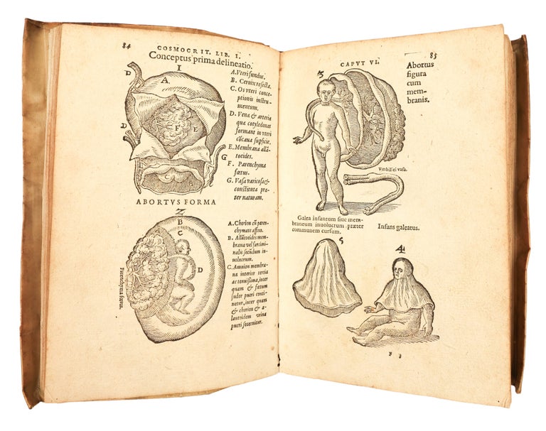 Item #5473 De Naturae Divinis Characterismis; seu Raris & admirandis spectaculis, causis,...
