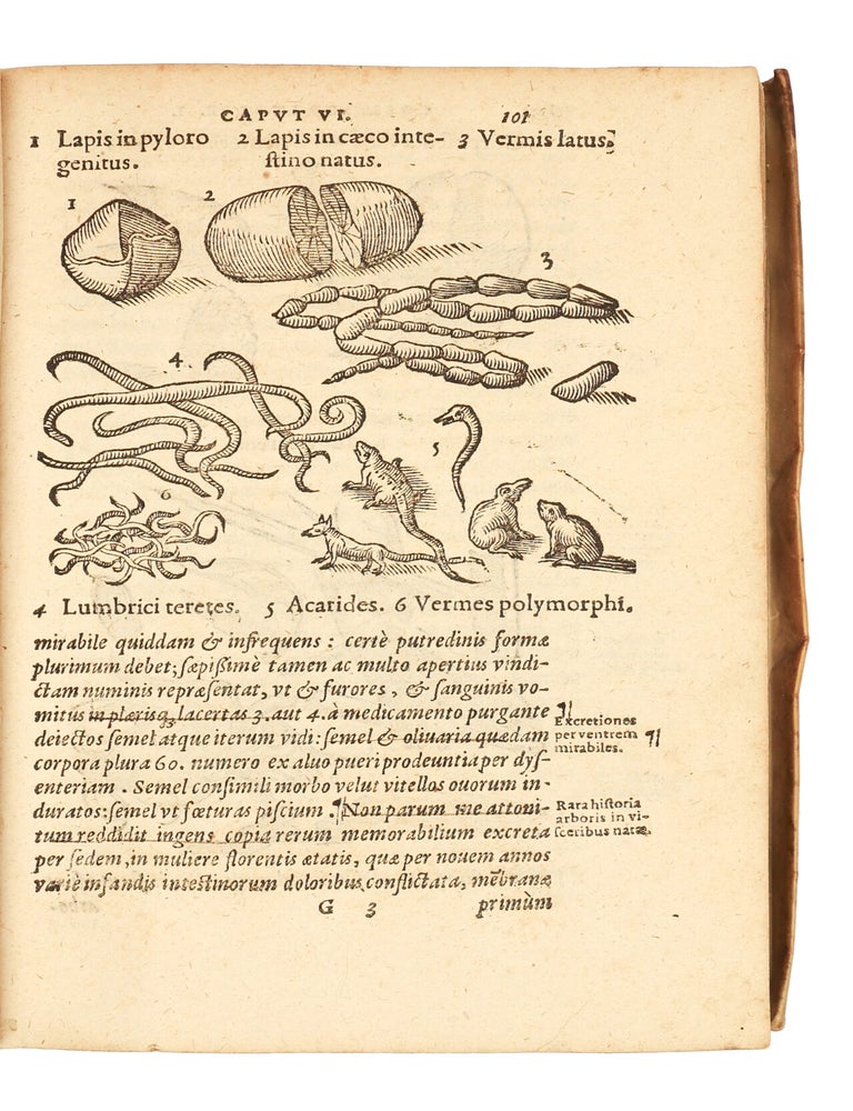 De Naturae Divinis Characterismis; seu Raris & admirandis spectaculis, causis, indiciis, proprietatibus rerum in partibus singulis universi, Libri II. Auctore D. Corn. Gemma, Louaniensi, Regio Medicinae professore. Peculiarem partis utriusque materiem vel argumentum sequens pagina planius explicabit.