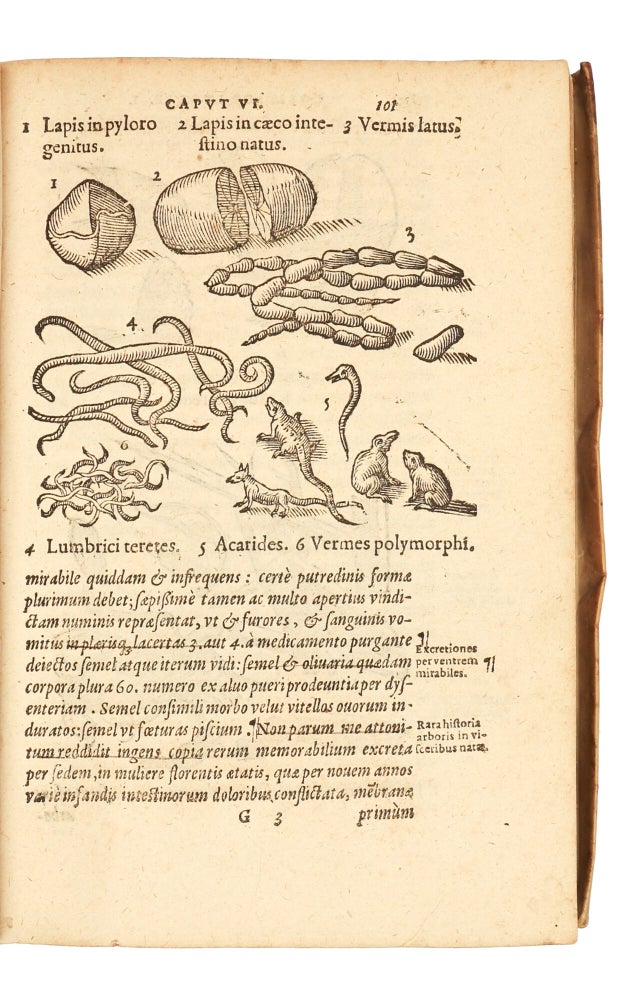 De Naturae Divinis Characterismis; seu Raris & admirandis spectaculis, causis, indiciis, proprietatibus rerum in partibus singulis universi, Libri II. Auctore D. Corn. Gemma, Louaniensi, Regio Medicinae professore. Peculiarem partis utriusque materiem vel argumentum sequens pagina planius explicabit.