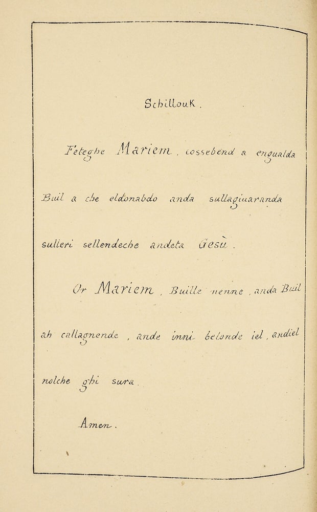 Ave Maria, sive Maria ab Angelo variis linguis salutata, cui omnia a se collecta scriptaque D D D, P. A. Pfister, S.J.